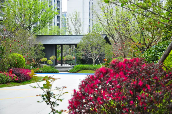 �ƶ�����(�й���)�ٷ���վ